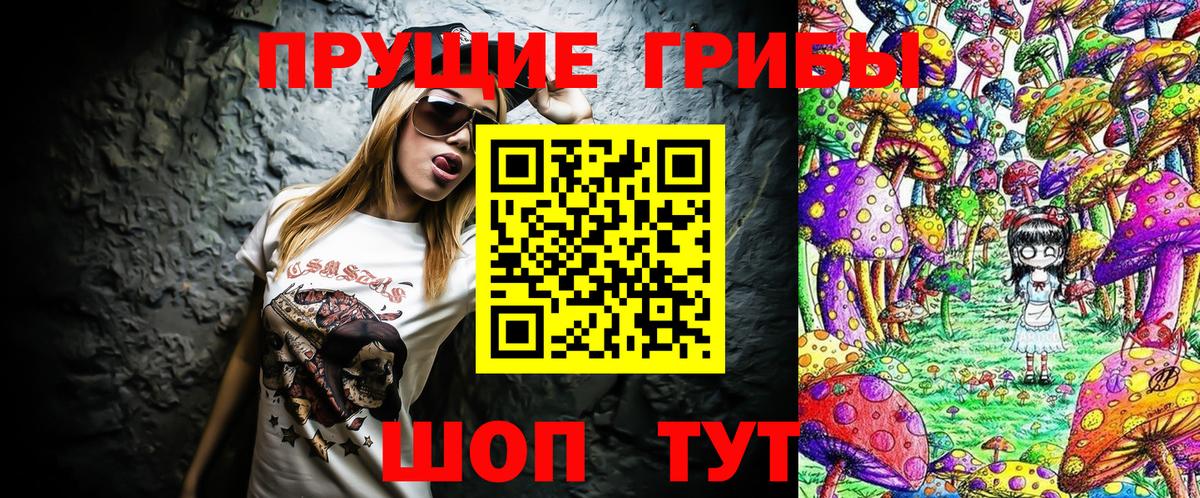 Псилоцибиновые грибы Psilocybe Якутск